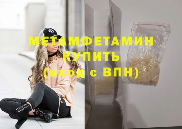 шишки Болотное