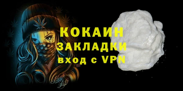 шишки Болотное